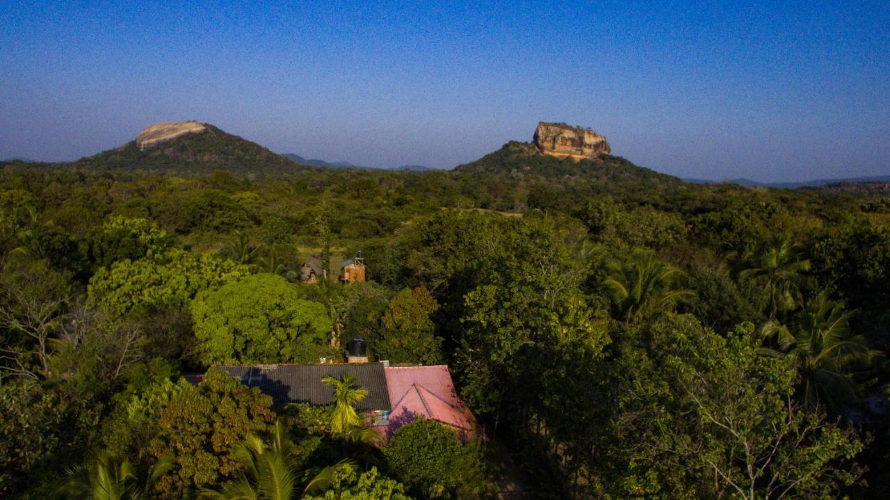فندق Sigiriya Rock Gate Tree House المظهر الخارجي الصورة