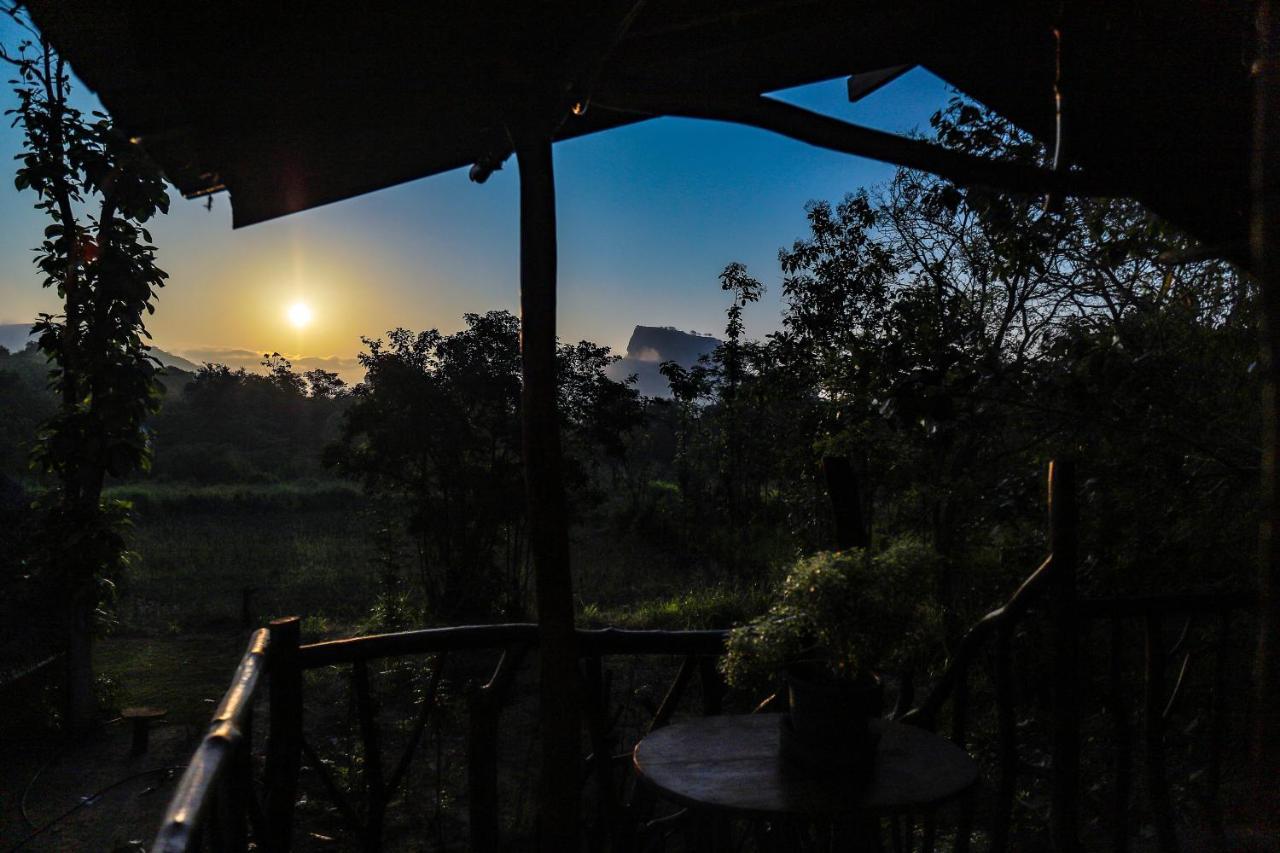 فندق Sigiriya Rock Gate Tree House المظهر الخارجي الصورة