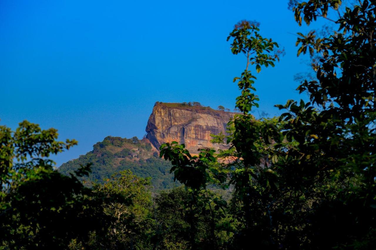 فندق Sigiriya Rock Gate Tree House المظهر الخارجي الصورة