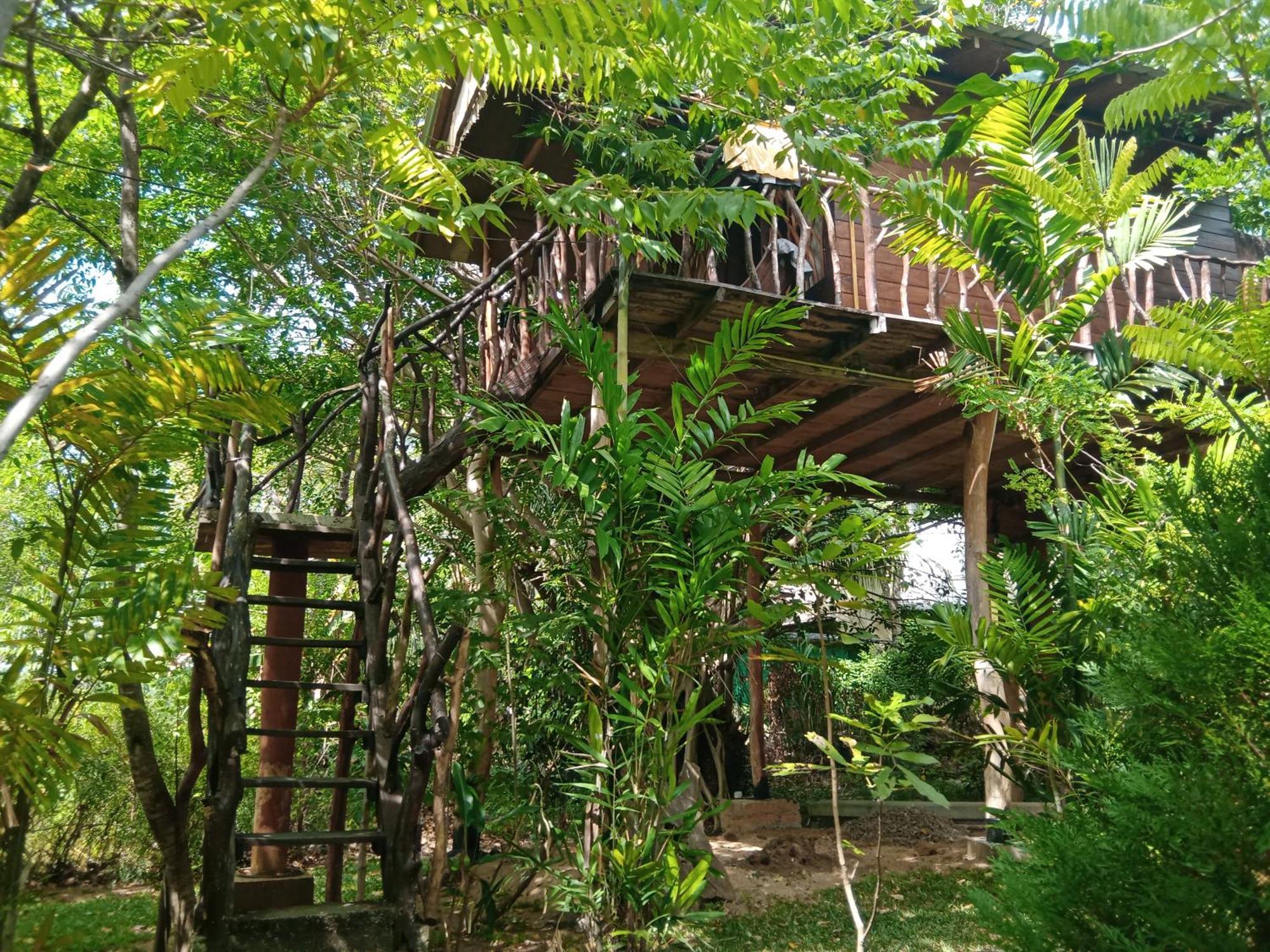 فندق Sigiriya Rock Gate Tree House المظهر الخارجي الصورة