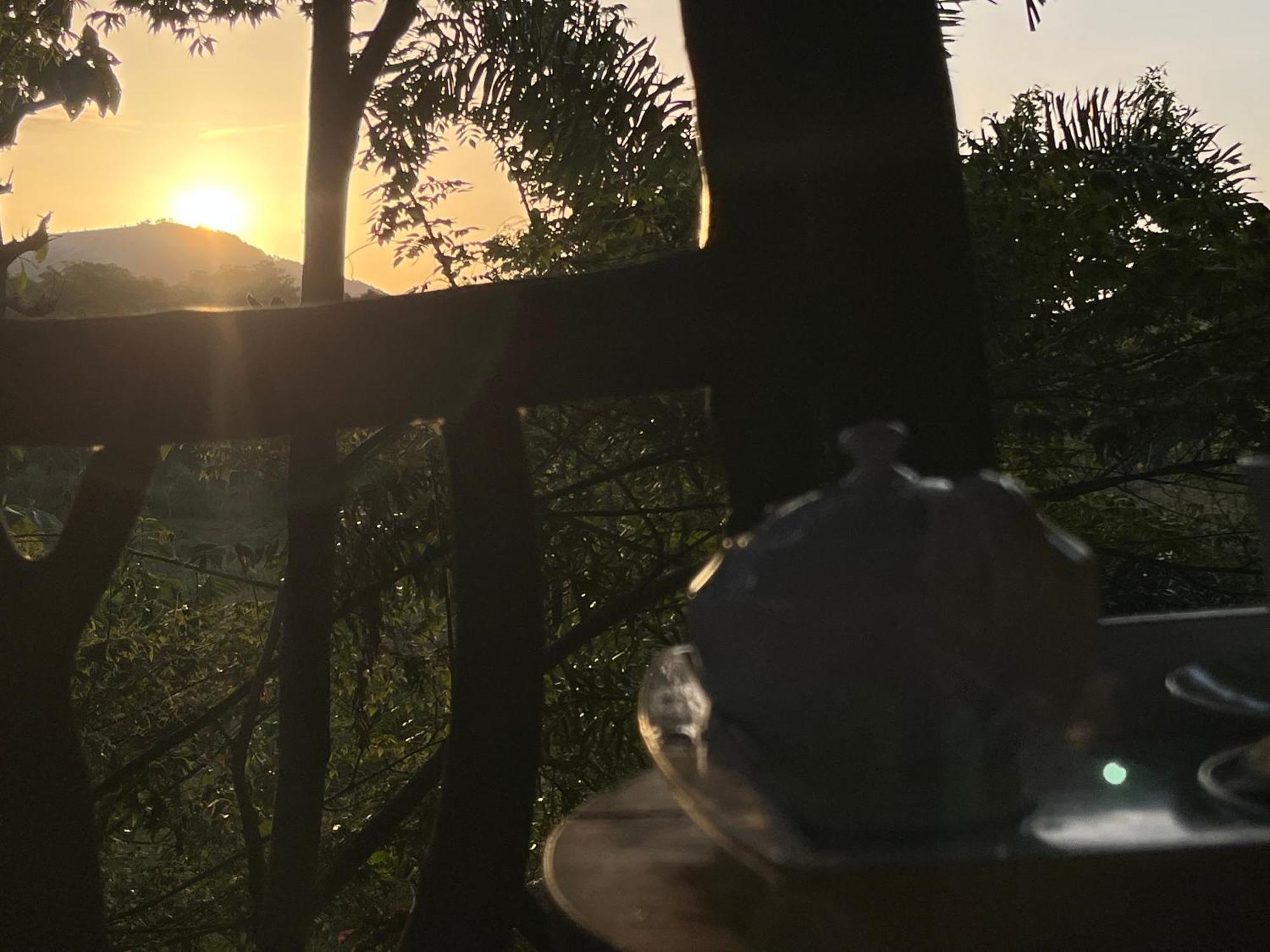 فندق Sigiriya Rock Gate Tree House المظهر الخارجي الصورة