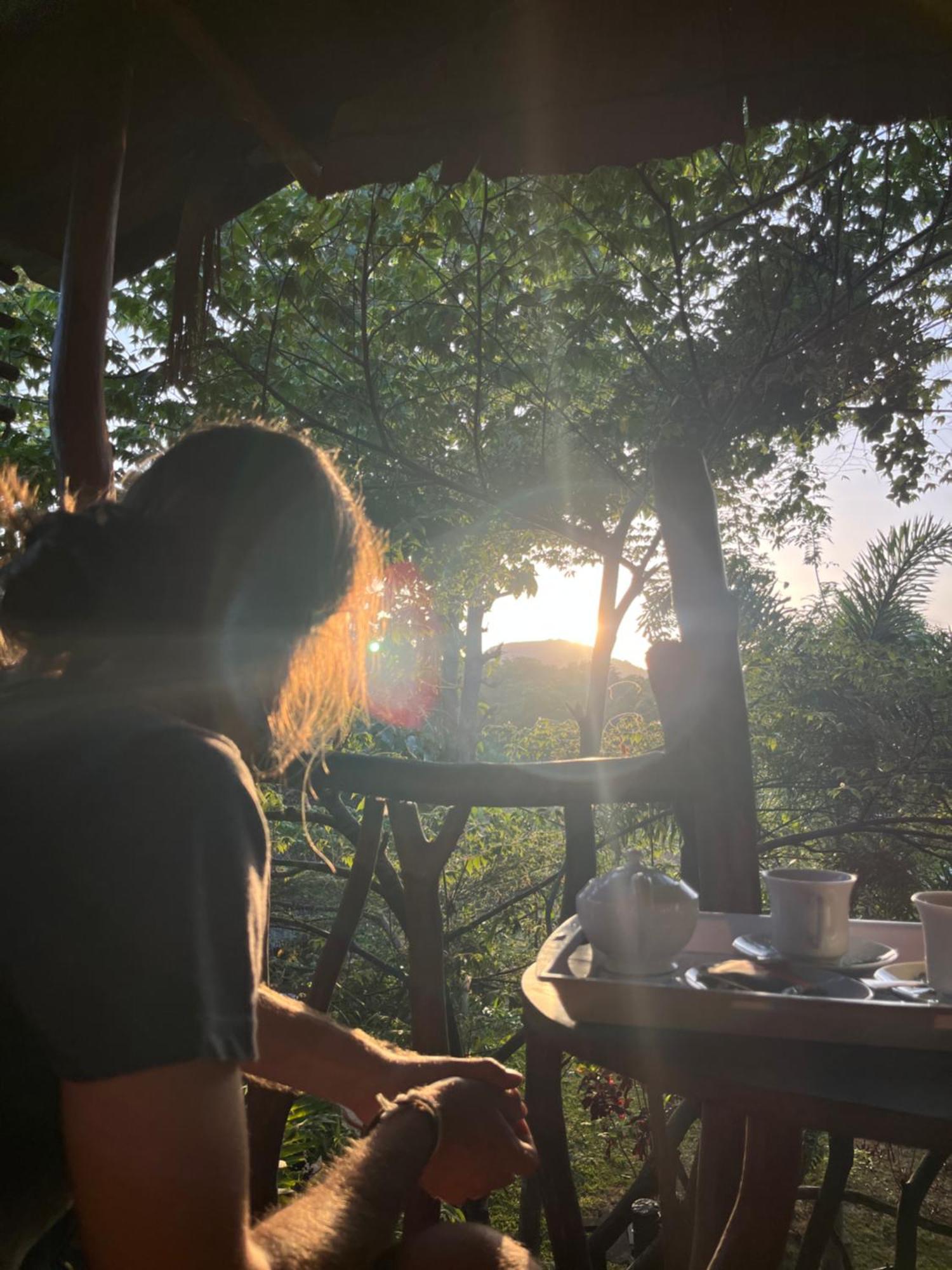 فندق Sigiriya Rock Gate Tree House الغرفة الصورة