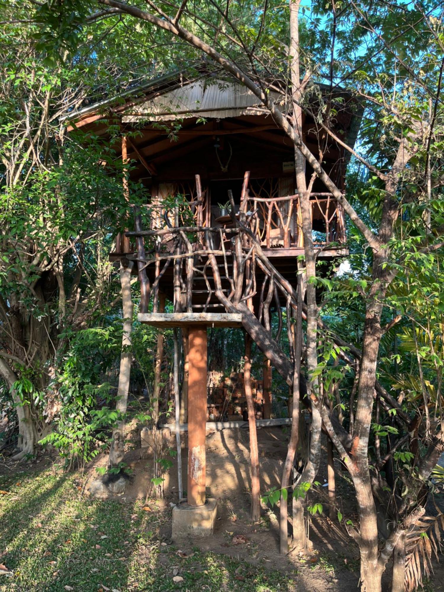 فندق Sigiriya Rock Gate Tree House الغرفة الصورة