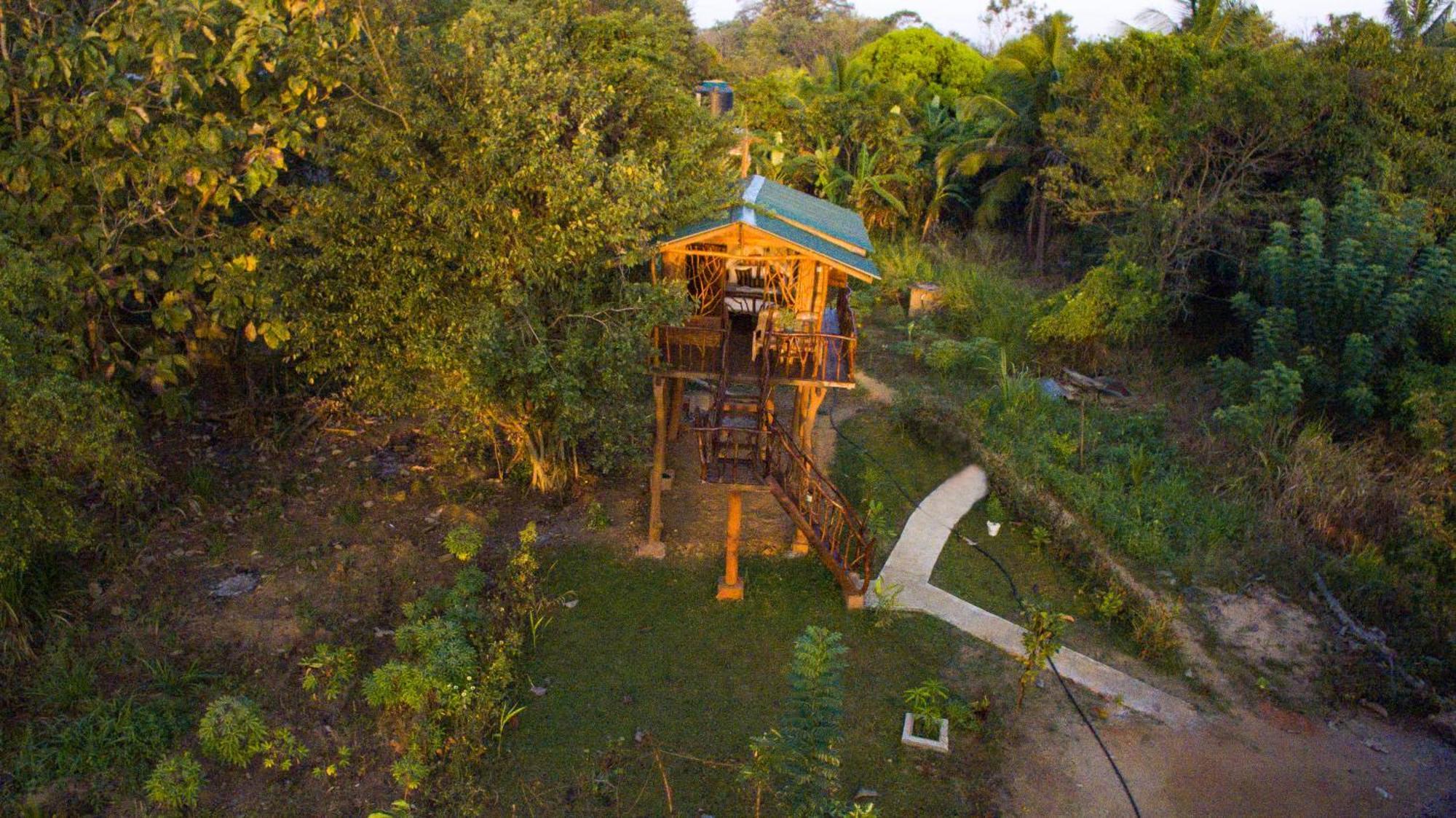 فندق Sigiriya Rock Gate Tree House المظهر الخارجي الصورة
